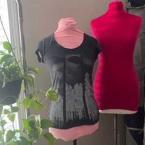 American Eagle Outfitters gray graphic tee XS